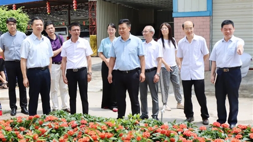 自治區政協(xié)常委、梧州市政協(xié)主席黃振饒蒞臨百裕集團走訪(fǎng)調研