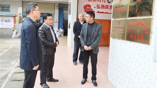 岑溪市人大常委會(huì )主任羽國強率調研組蒞臨百裕集團檢查指導工作